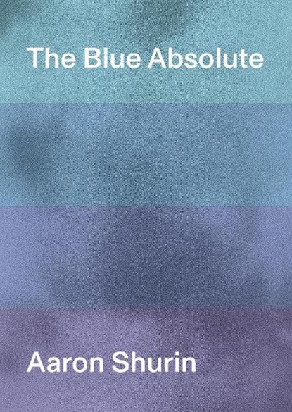 The Blue Absolute, Aaron Shurin - Paperback - 9781643620169