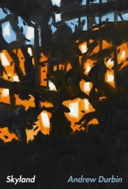 Skyland, Andrew Durbin - Paperback - 9781643620275