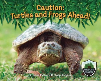 CAUTION TURTLES & FROGS AHEAD, MATTERN,  Joanne - Paperback - 9781643711935