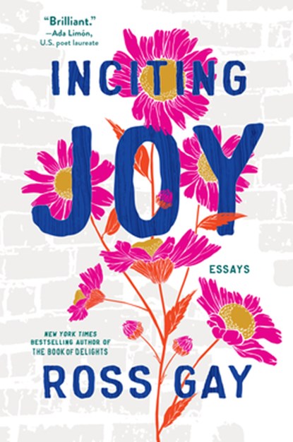 Inciting Joy: Essays, Ross Gay - Gebonden - 9781643753041