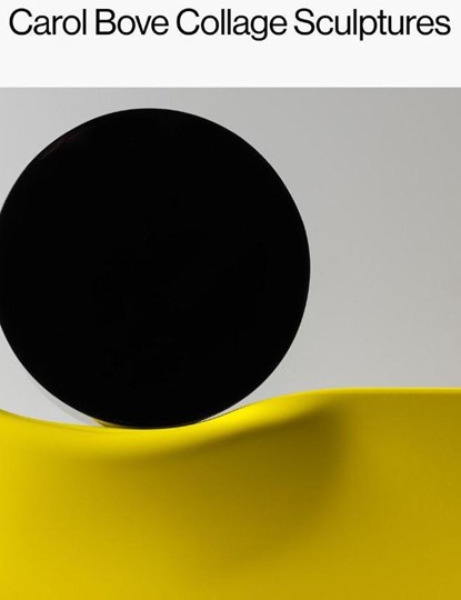 Carol Bove: Collage Sculptures, Carol Bove ; Catherine Craft ; Lisa Le Feuvre - Gebonden - 9781644230671