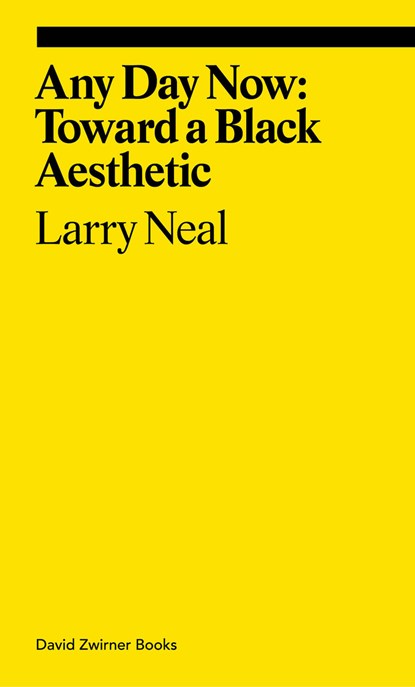 Any Day Now: Toward a Black Aesthetic, Larry Neal - Paperback - 9781644231203