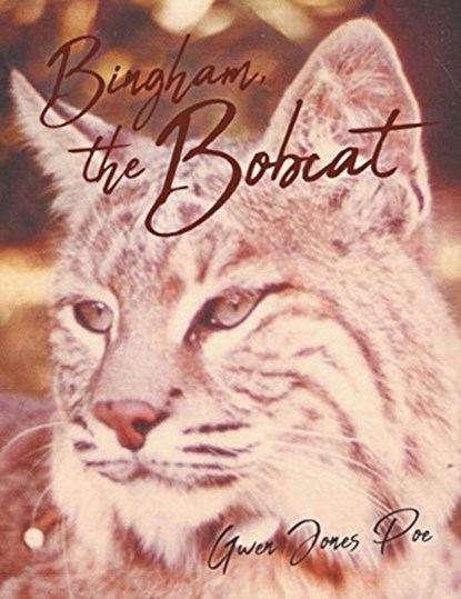 Bingham the Bobcat, Gwen Poe - Paperback - 9781644242476