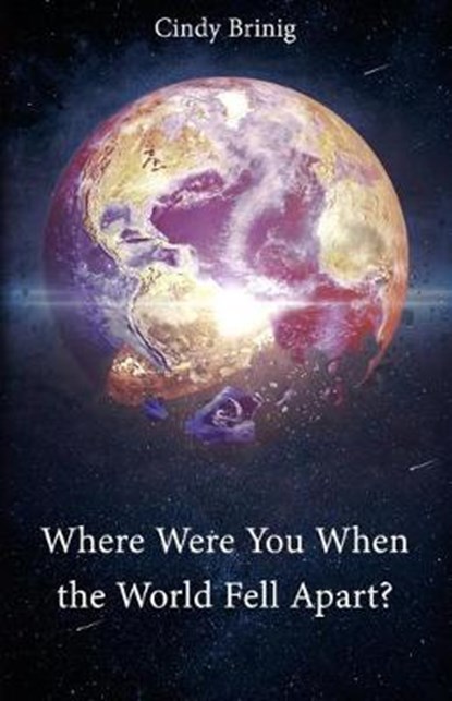 Where Were You When the World Fell Apart, BRINIG,  Cindy - Paperback - 9781644260838