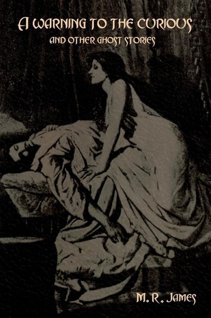 A warning to the curious and other ghost stories, M R James - Paperback - 9781644399002