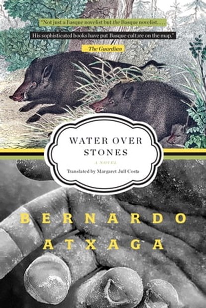 Water over Stones, Bernardo Atxaga - Ebook - 9781644451830