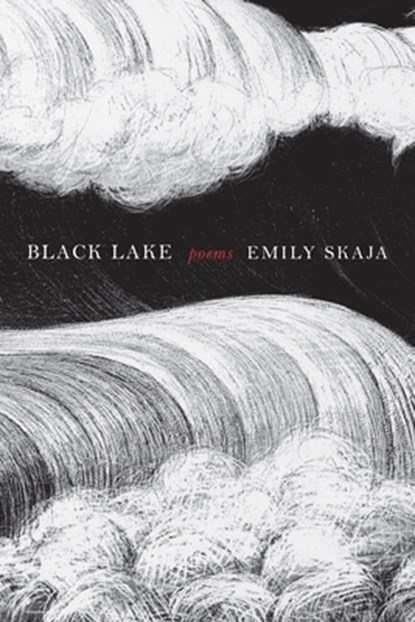 Black Lake, Emily Skaja - Paperback - 9781644454121