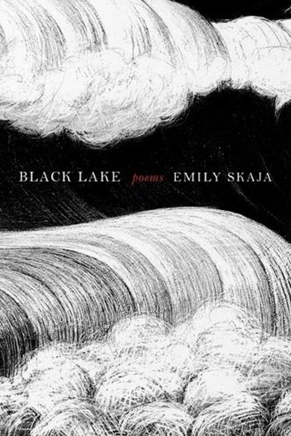 Black Lake, Emily Skaja - Paperback - 9781644454121