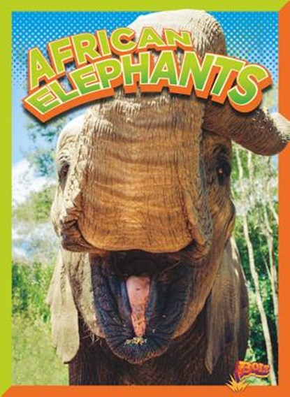 African Elephants, Gail Terp - Paperback - 9781644662205
