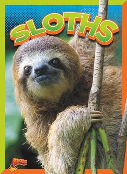 Sloths, Gail Terp - Paperback - 9781644662274