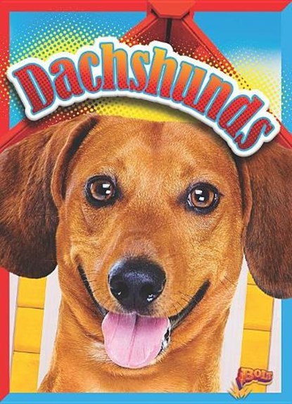 Dachshunds, HOGAN,  Christa C. - Paperback - 9781644662489