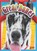 Great Danes, HOGAN,  Christa C. - Paperback - 9781644662502