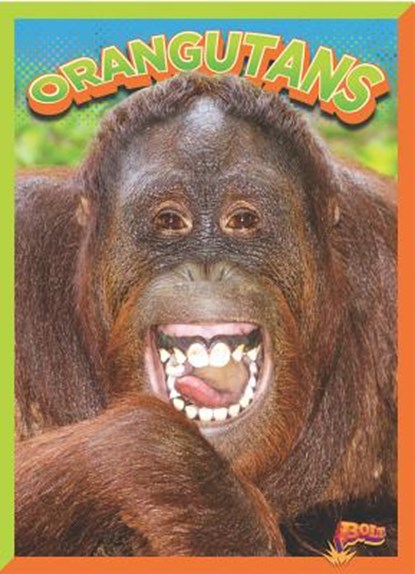 Orangutans, Nicki Clausen-Grace - Paperback - 9781644662892