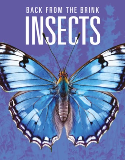 Insects: Back from the Brink, Joanne Mattern - Paperback - 9781644668306