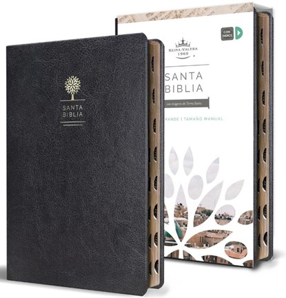 Reina Valera Revisada 1960: Biblia Reina Valera 1960 Letra G, Reina Valera Revisada 1960 - Paperback - 9781644732168