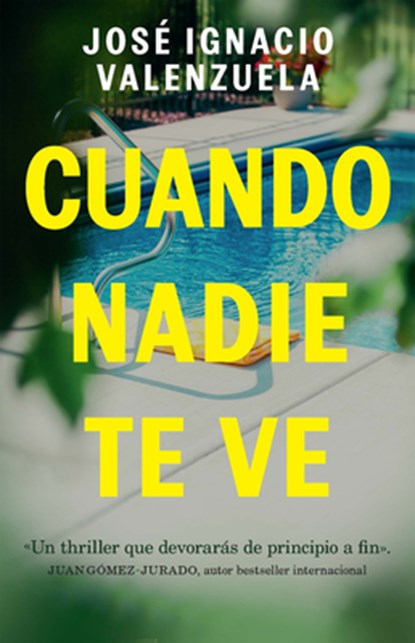 Cuando Nadie Te Ve / When Nobody Sees You, José Ignacio Valenzuela - Paperback - 9781644739389