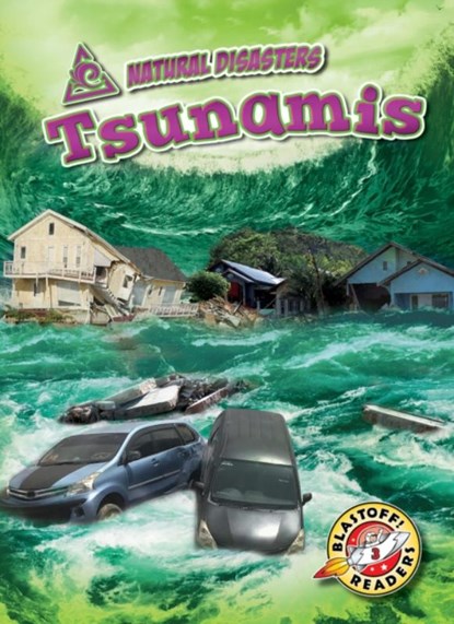 Tsunamis, Betsy Rathburn - Gebonden - 9781644870280