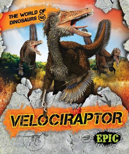 Velociraptor, Rebecca Sabelko - Gebonden - 9781644870914