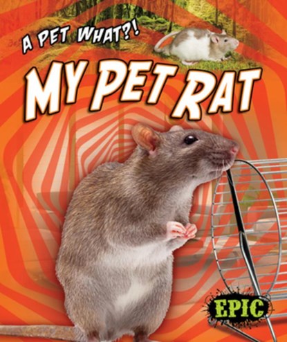 MY PET RAT, Paige V. Polinsky - Gebonden - 9781644871850