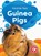 Guinea Pigs, Christina Leaf - Gebonden - 9781644873175