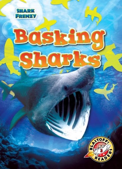 Basking Sharks, Rebecca Pettiford - Gebonden - 9781644874370
