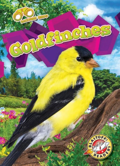 Goldfinches, Elizabeth Neuenfeldt - Gebonden - 9781644874936