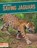 Saving Jaguars, Martha London - Gebonden - 9781644933879