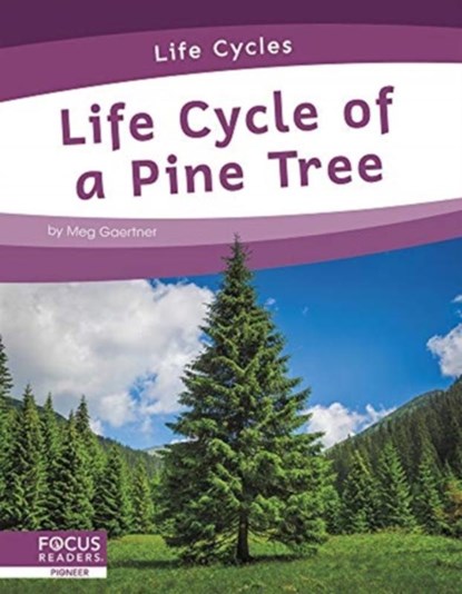 Life Cycle of a Pine Tree, Meg Gaertner - Paperback - 9781644938768