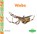 Animal Homes: Webs, Julie Murray - Paperback - 9781644941232