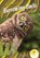 Burrowing Owls, Julie Murray - Paperback - 9781644947609