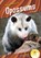 Opossums, Julie Murray - Paperback - 9781644947623