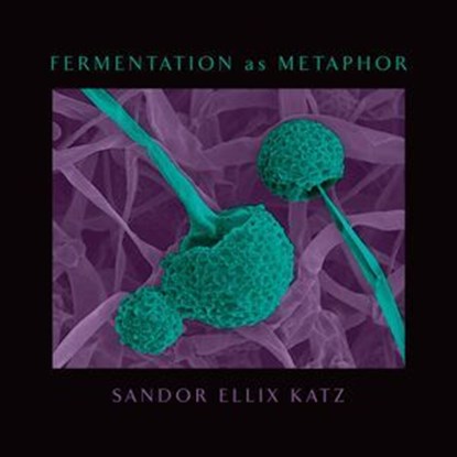 Fermentation as Metaphor, Sandor Ellix Katz - Ebook - 9781645020226
