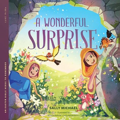 A Wonderful Surprise, Sally Michael - Gebonden - 9781645074977