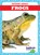 Frogs, Genevieve Nilsen - Paperback - 9781645270973