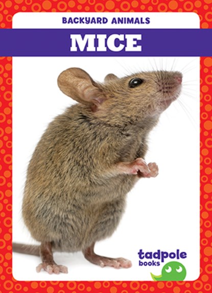 Mice, Genevieve Nilsen - Paperback - 9781645271000