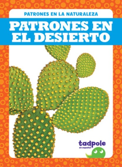 Patrones En El Desierto (Patterns in the Desert), Genevieve Nilsen - Paperback - 9781645278962