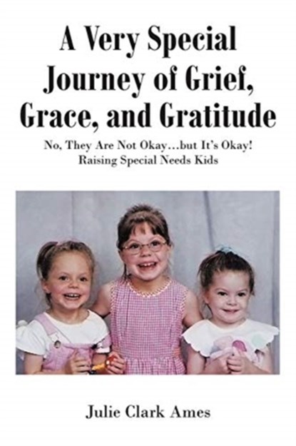 A Very Special Journey of Grief, Grace, and Gratitude, Julie Clark Ames - Paperback - 9781645316954
