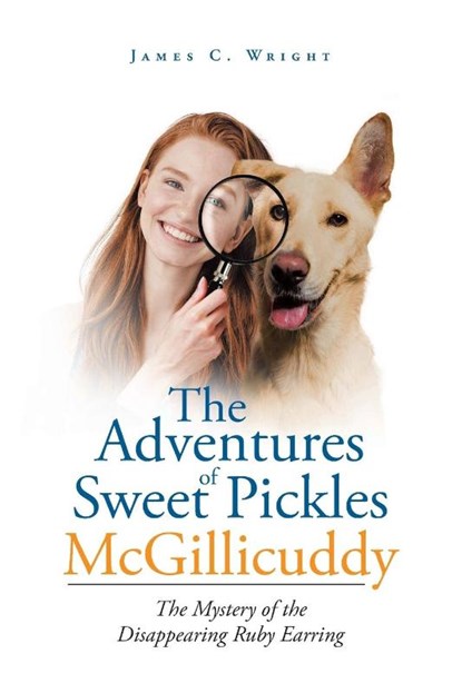 The Adventures of Sweet Pickles McGillicuddy, James C Wright - Paperback - 9781645319900