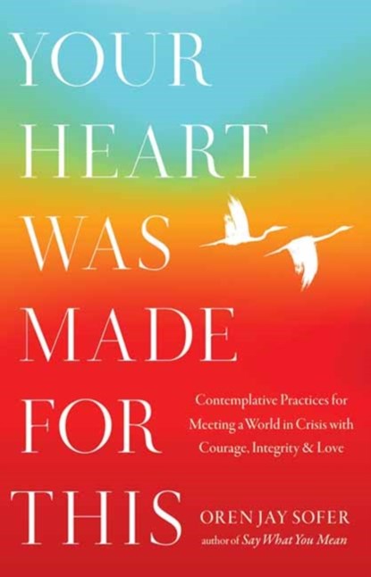 Your Heart Was Made for This, Oren Jay Sofer - Paperback - 9781645473893