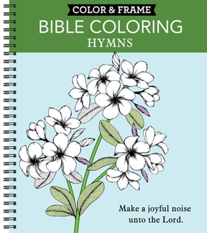 COLOR & FRAME - BIBLE COLORING, New Seasons ; Publications International Ltd - Paperback - 9781645585657