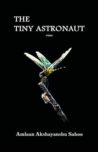 The Tiny Astronaut, Amlaan Akshayanshu Sahoo - Paperback - 9781645601050