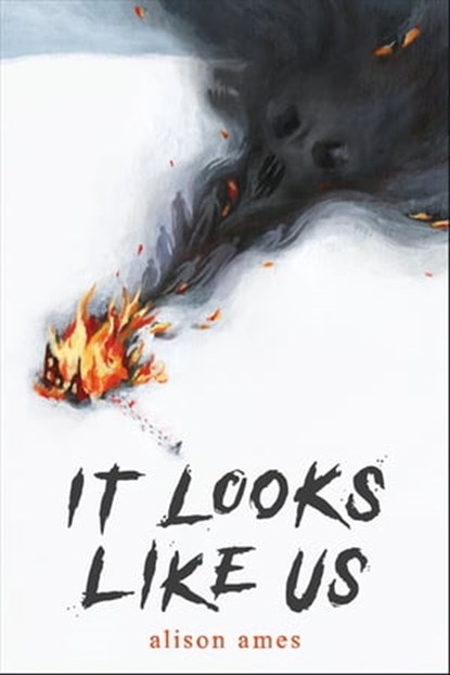 It Looks Like Us, Alison Ames - Ebook - 9781645676195