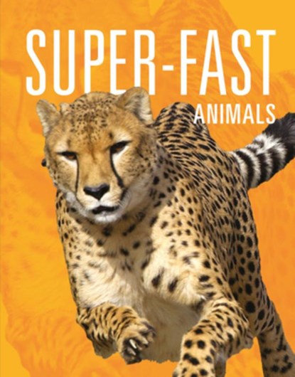 Super-Fast Animals, Meg Greve - Paperback - 9781645824008