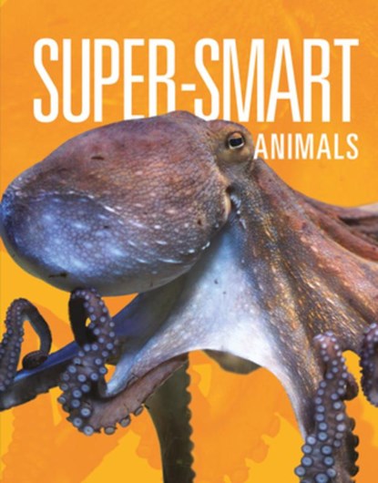 Super-Smart Animals, Joanne Mattern - Paperback - 9781645824046