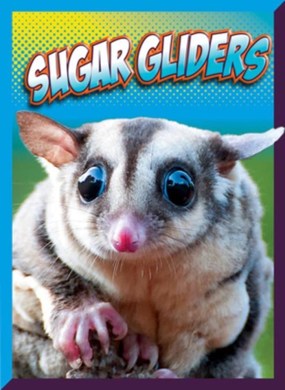 Sugar Gliders, Marysa Storm - Paperback - 9781645825944