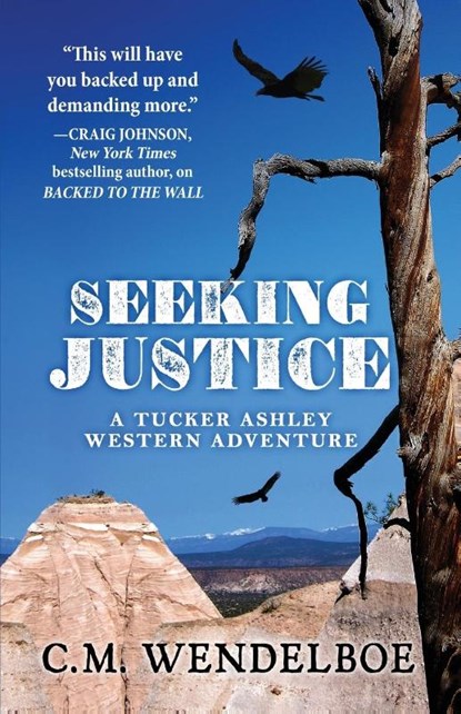 Seeking Justice, C. M. Wendelboe - Paperback - 9781645994770