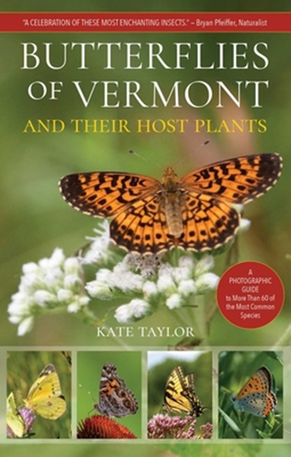 Butterflies of Vermont, Kate Taylor - Paperback - 9781646013098