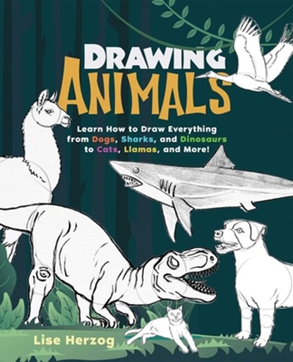 DRAWING ANIMALS, Lise Herzog - Paperback - 9781646041572