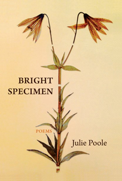 Bright Specimen, Julie Poole - Paperback - 9781646050574