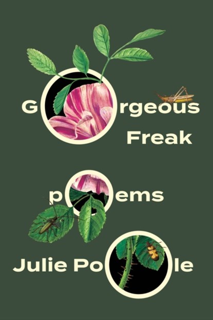 Gorgeous Freak, Julie Poole - Paperback - 9781646053094